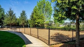 Fenced dog run